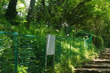 ����s��_�_�� �������