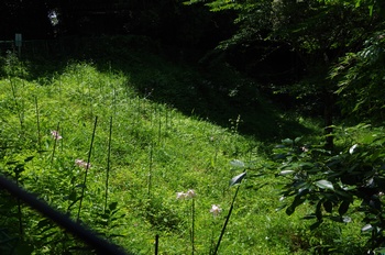 ����s��_�_�� �������