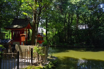 ����s��_�_�� �����r