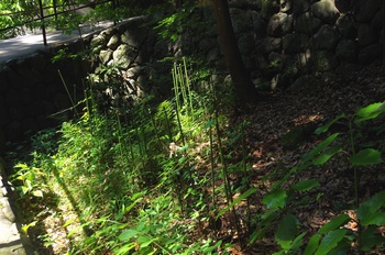 ����s��_�_�� ����_�ЃT�T����