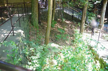 ����s��_�_�� ����_�ЃT�T����