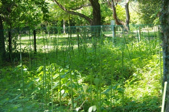  ����s��_�_�� ����a�̓m������艀