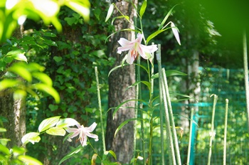  ����s��_�_�� ����a�̓m�������