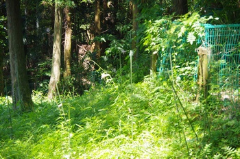  ����s��_�_�� ����a�̓m�������