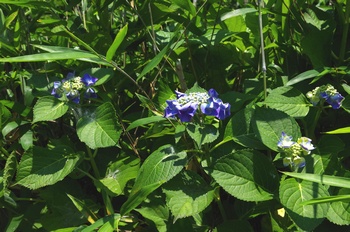  ����s��_�_�� �����A�W�T�C