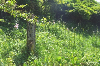 ����s��_�_�� ����� �T�T����