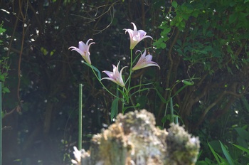 ����s��_�_�� ����� �T�T����