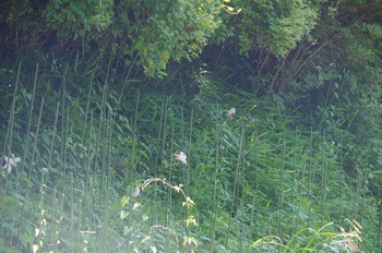 ����s��_�_�� ����� �T�T����