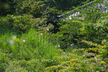 ����s��_�_�� ����� �T�T����