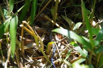 ����s��_�_�� ����� �j�z���g�J�Q