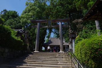 ����s��_�_�� �咼�H�q�_��