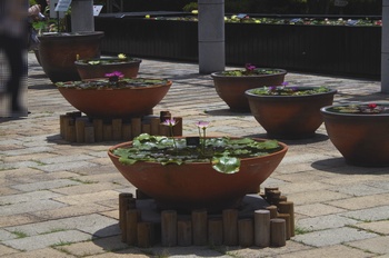 ���Îs�݂��̐X �R�~���j�e�B�L��