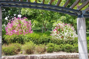 ���Îs�݂��̐X �y�`���j�A