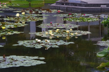 ���Îs�݂��̐X �X�C����