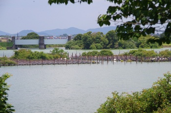 ���Îs�݂��̐X ���i�΂̓���