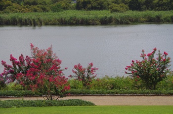  ���Îs�݂��̐X �T���X�x��