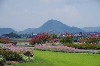 ���Îs�݂��̐X �ߍ]�x�m