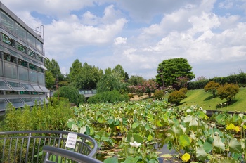 ���Îs�݂��̐X �n�X