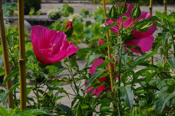 ���Îs�݂��̐X �^�C�^���r�X�J�X