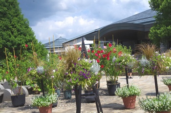 ���Îs�݂��̐X �R�~���j�e�B�L��