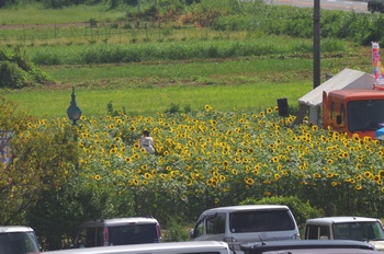 ���Îs �Ђ܂����H