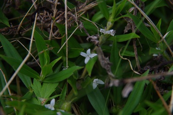 ��Îs�ăv���U �����P�����O��