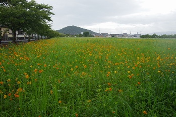 ������ ���ԏH��