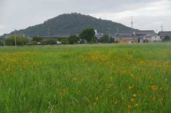 ������ ���ԏH��