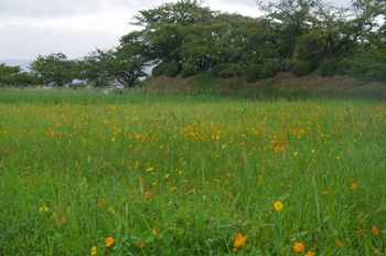 ������ ���ԏH��