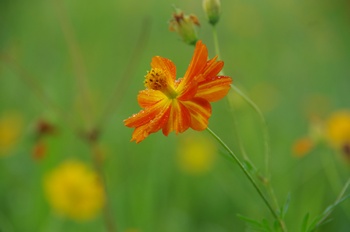 ������ ���ԏH��