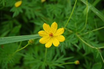 ������ ���ԏH��