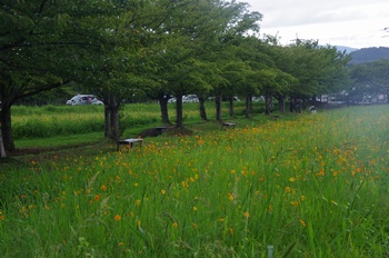 ������ ���ԏH��