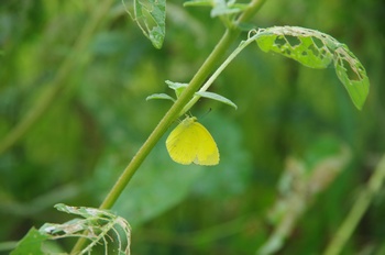 ������ �����L�`���E