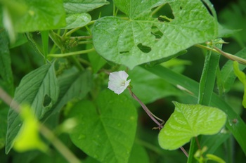 ������ �����K�I�H