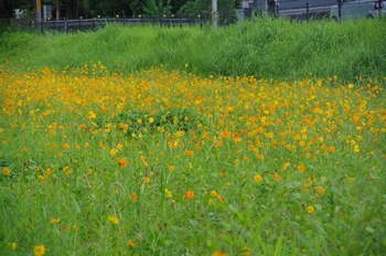 ������ ���ԏH��