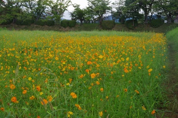 ������ ���ԏH��