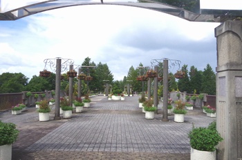 �F���A���� �t�����[�u���b�W