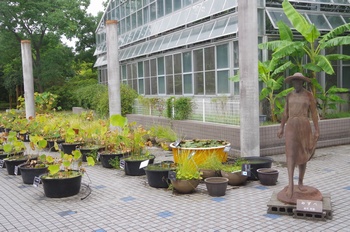 �F���A���� �����O�L��