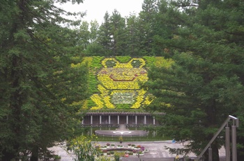 �F���A���� �J�G��