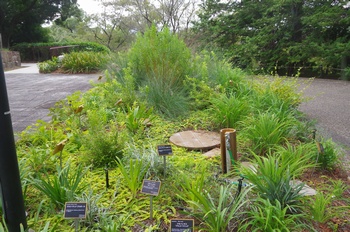 �F���A���� �t�̃]�[��