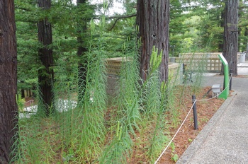 �F���A���� �^�J�T�S����