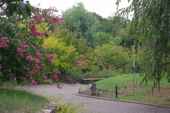 �F���A���� �t�̃]�[��