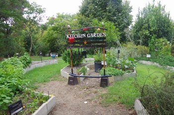 �F���A���� �L�b�`���K�[�f��