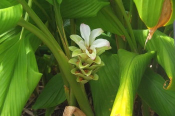 �F���A���� �E�R��