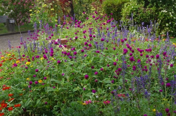 �F���A���� �ă]�[������