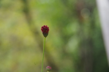 �F���A���� �������R�E