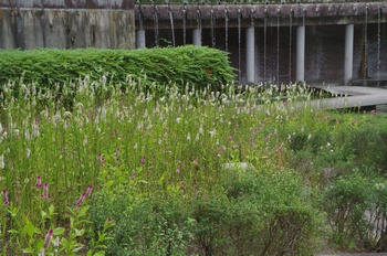 �F���A���� �P�C�g�E