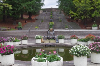 �F���A���� �ԃR���e�i