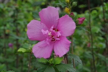 �F���A���� ���N�Q