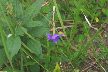 �F���A���� �L�L���E